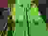 551611045_2001125447406787_2428358342684382527_n