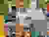 551844069_1163473922508977_572065467574496991_n
