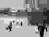 Messenger_creation_94879844-3DA4-4CA8-8005-86FC70CF97E0