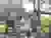 Messenger_creation_133941F0-6347-4CB2-9254-DD62E04E581E