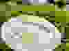 Messenger_creation_356F4F89-4EEF-43B5-83C5-D46712588088