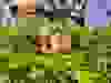 Messenger_creation_47241633-59A7-4387-A6F4-15876BB09285