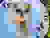 Messenger_creation_5D539B95-B19A-4517-8C13-3870A88B0748