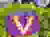 Messenger_creation_78E69C7F-73AE-44BA-8259-A885FBDDE3D0