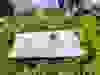 Messenger_creation_7A9BC0BC-DA57-43F1-BEF0-7A9D08A9560B