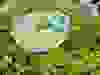 Messenger_creation_80477307-13ED-4DDE-8FD2-EA7916622674