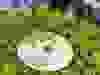 Messenger_creation_86D316D1-0AF6-48EF-BB7F-934F6399BD09