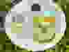Messenger_creation_8F908A4B-EFFF-4BD9-B7E1-66EDF4C8F830