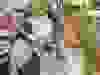 Messenger_creation_94D216C9-D908-4690-B515-C9E068CE8826