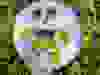 Messenger_creation_9A22B9EC-A50D-41A6-BDE2-C3DC7FD54B70