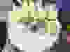 Messenger_creation_9D0FFCC6-0745-4FFB-89B4-0CF2BFAC772A