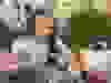 Messenger_creation_9E72E75B-6562-406D-BCFA-80BB0D38A730