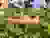 Messenger_creation_9E85459A-86D0-428B-B5AB-4FA9084907E4