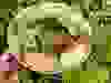Messenger_creation_A66F1DC2-AC2F-4960-AC32-EA53BAB120DC