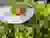 Messenger_creation_ABBD62F1-993F-4C8F-B259-42AA255BB705
