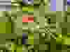Messenger_creation_B220421E-2149-4ADC-9E57-D2D19567602A