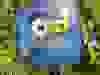 Messenger_creation_C66A320C-CD93-4C97-9927-DBE282503296