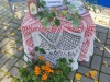 IMG_20250905_101250
