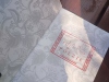IMG_20250905_105458