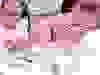 Messenger_creation_0DCEC0DC-C6B5-4991-924A-32E3A05E1080