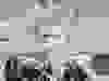 Messenger_creation_58E35493-6762-4E8A-903E-3EC5E293048E