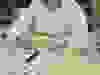 Messenger_creation_871B0F6B-3B48-4B13-A311-99429FC26416