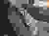 Messenger_creation_A4E7560B-19D9-4DC6-8843-52BC7D6F5CF2