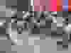 Messenger_creation_560D5CC6-7F85-4834-AA6B-067768A035BD