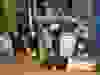 Messenger_creation_F99A306D-4439-4B1F-BD5C-8D0BDE771788